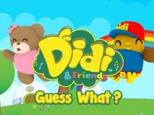 Didi & Friends Guess What